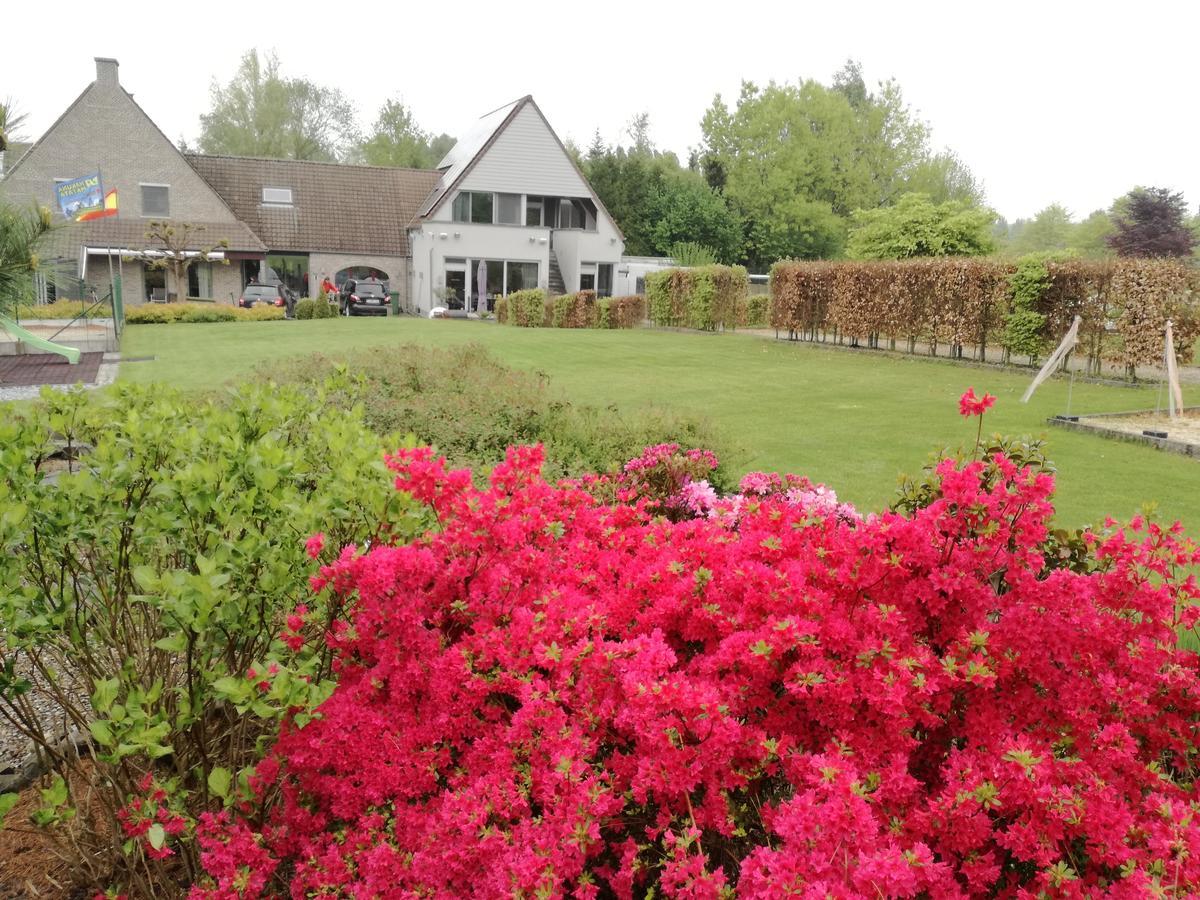 Vakantiewoning Hakuna Matata Geraardsbergen Ngoại thất bức ảnh